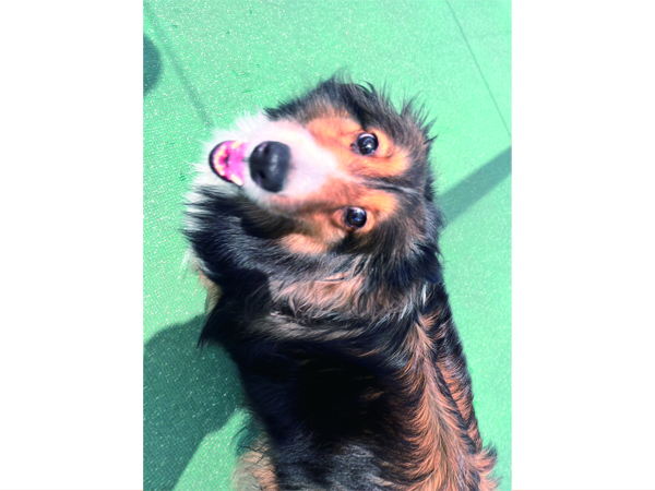 生徒が撮影した写真を送ってくれました！